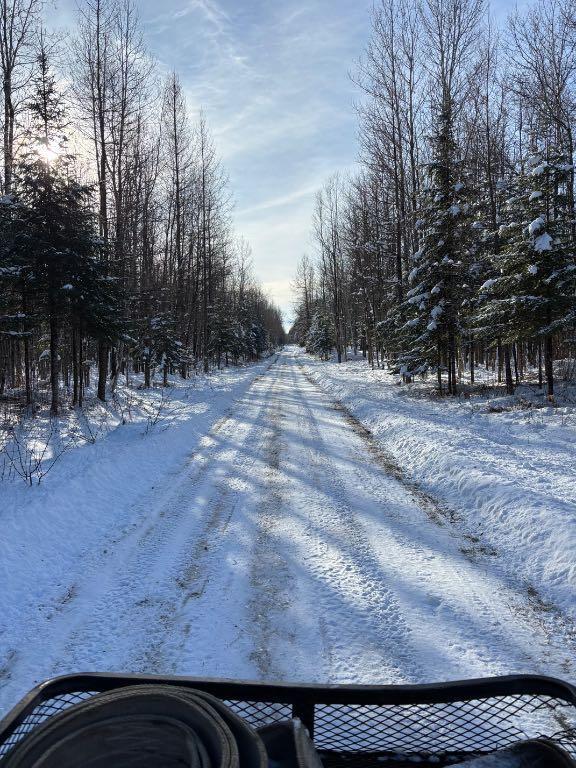 Terre à bois 110 acres Cookshire | 3206613