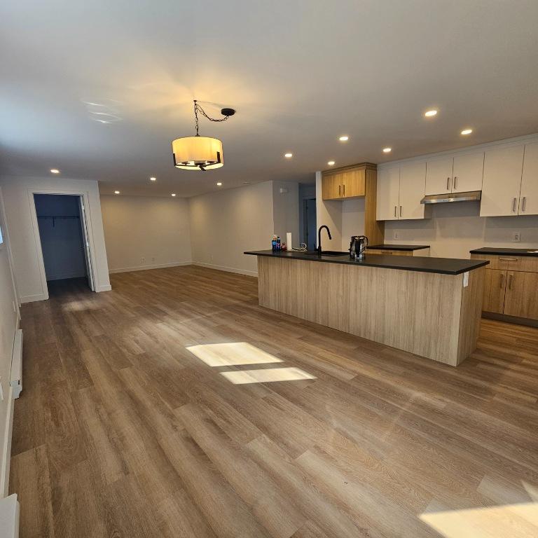 4 1/2 avec GARAGE et stationnement inclus - Saint-Ambroise-de-Kildare | 3202854