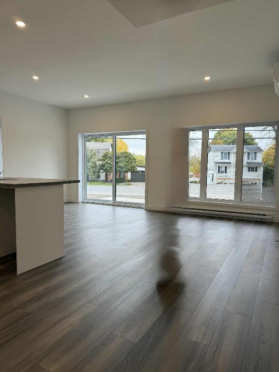 Logements neufs Coteau du lac | 3202981