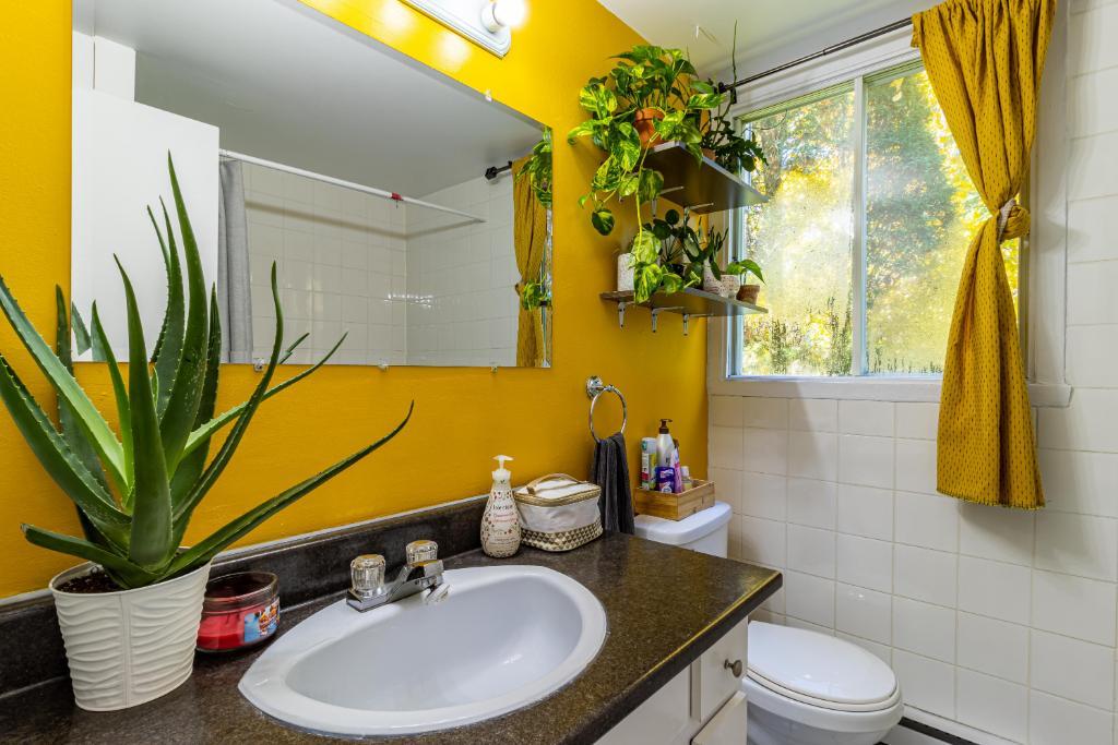 5 ½ LIBRE LE 1ER JUILLET À CHICOUTIMI | 3203868