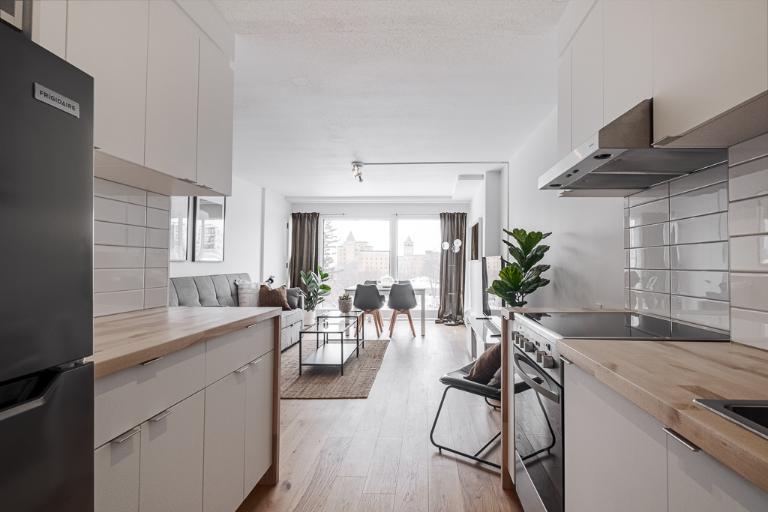 Appartement 3 ½ à louer Montcalm / Saint-Sacrement juillet 2026 | 3203893