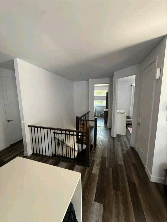 5 et demi à louer 1er février | 3203917