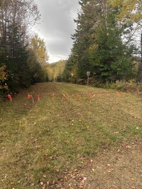 Immense domaine et terres à vendre incluant chemins (non zonées) - 1285 arpents (1085 acres) | 3203964