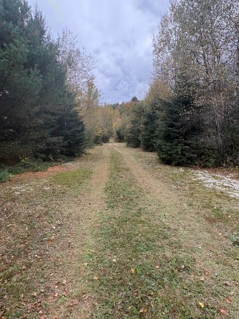 Immense domaine et terres à vendre incluant chemins (non zonées) - 1285 arpents (1085 acres) | 3203964