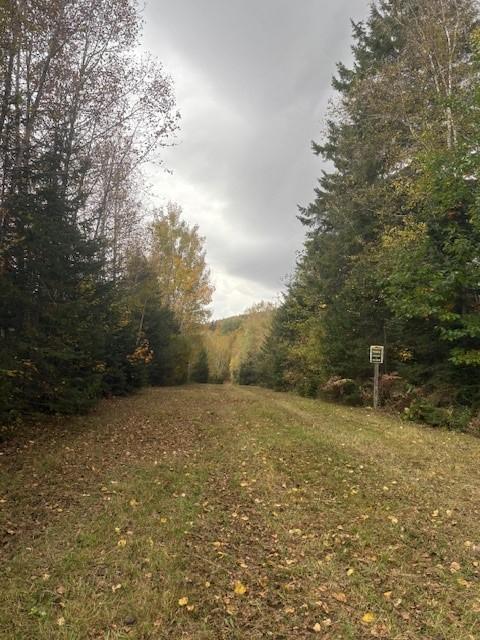 Immense domaine et terres à vendre incluant chemins (non zonées) - 1285 arpents (1085 acres) | 3203964