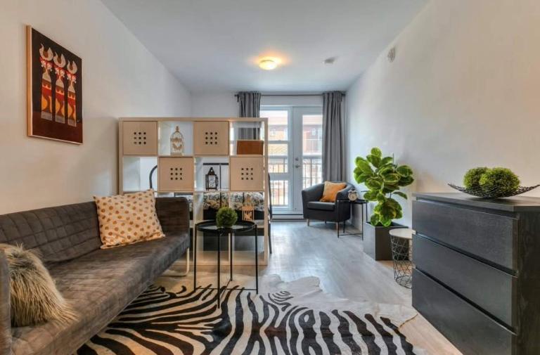 Studio - Montréal - $1,145 /mo | 3203993