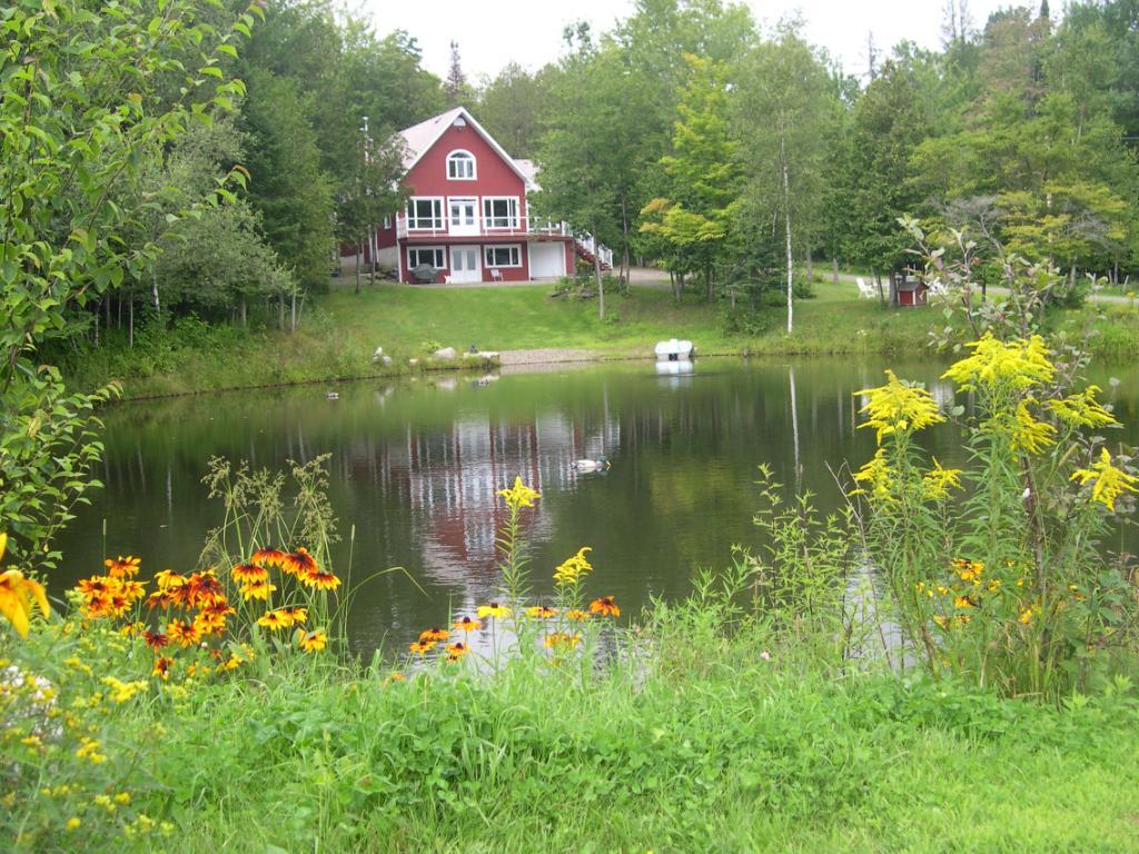 Chalet à louer Estrie (Potton) pour la saison estivale 2026 (lac,kayak,bicycle,nature sauvage, etc.) Près Owl's Head, Jay Peak et lac Memphrémagog | 3204808