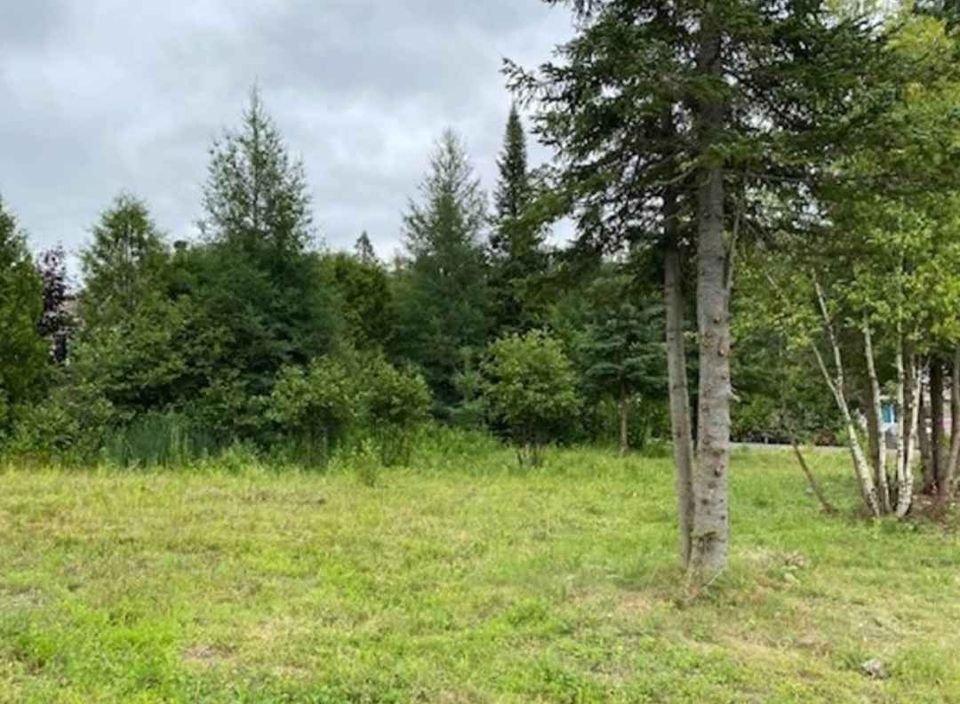 Terrain à vendre prêt à construire Ste-Adèle | 3204811