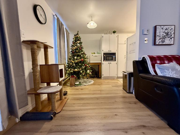 Appartement 3 ½ à louer Lévis juillet 2026 | 3205170