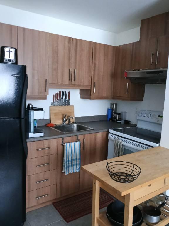 3 1/2 à louer | 3205539