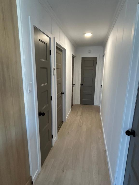 Logement 5 1/2 | 3205555