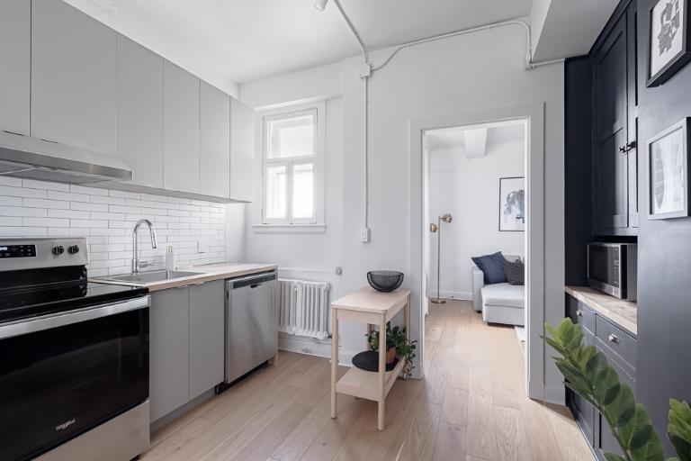 3 ½ entièrement meublé à louer Montcalm / Saint-Sacrement juillet 2026 | 3235816