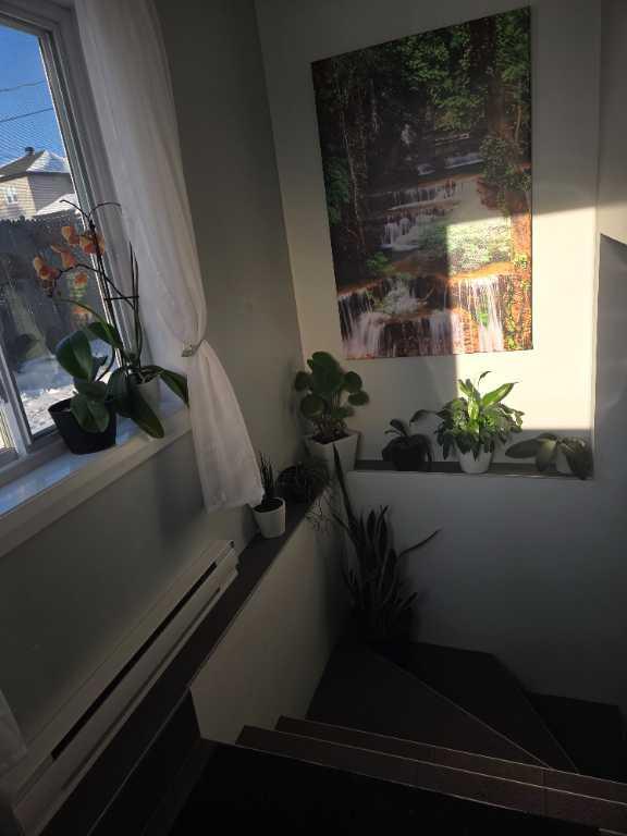 Appartement à louer | 3206200