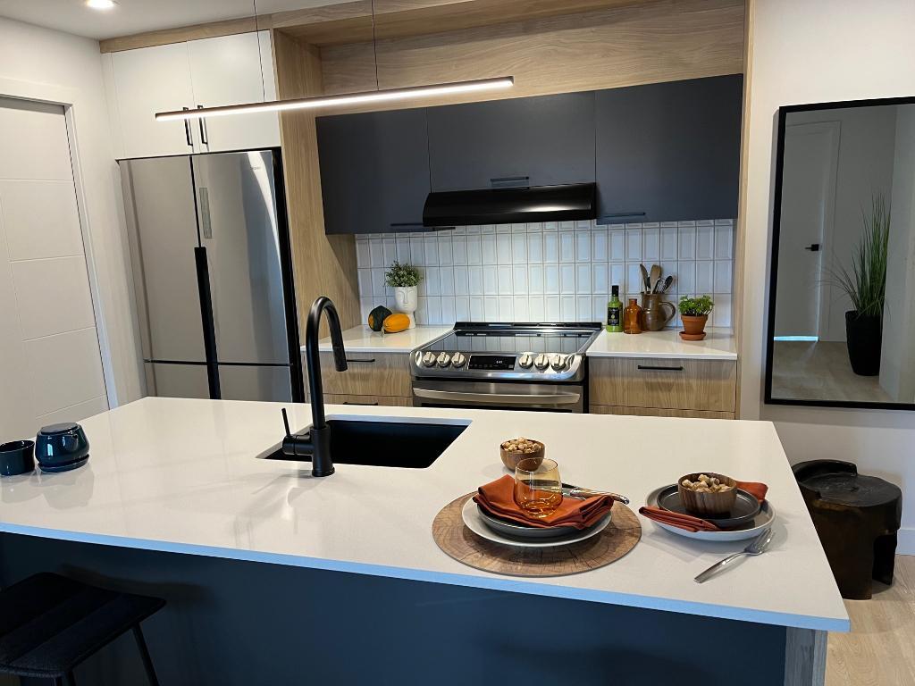 SUPERBE 4 1/2 pour le 1er MAI | 3206221