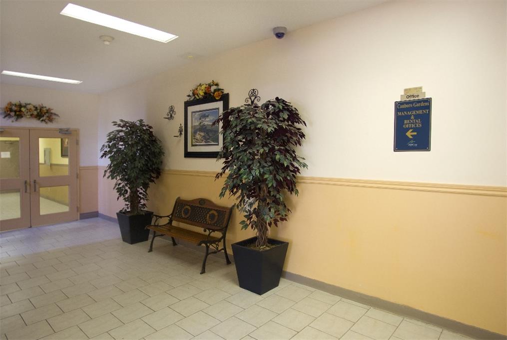 Canboro Garden | 3206398