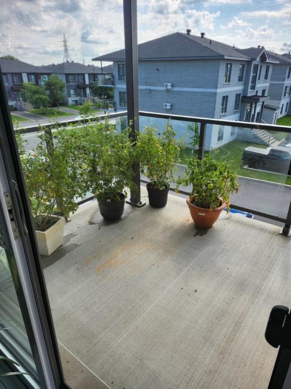 Magnifique 4 1/2 à Chambly pour avril | 3206462