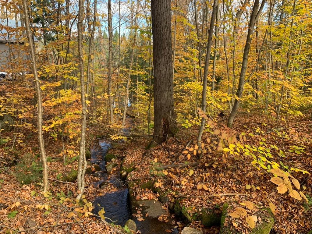 Terrains à vendre à St -Alexis des Monts | 3206534