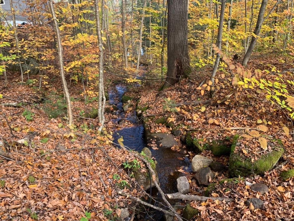 Terrains à vendre à St -Alexis des Monts | 3206534