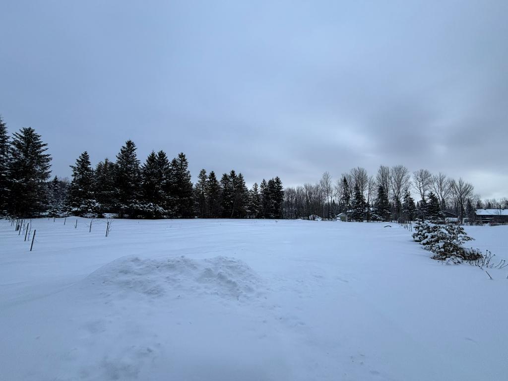 Grand terrain plat, Pont Rouge, Porneuf, Québec, Fermette | 3206535