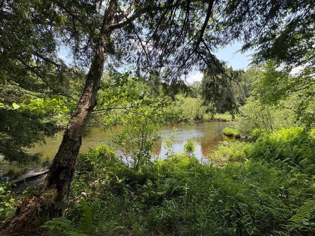 Terrain Estrie 7 acres en bordure de rivière - 1h de Montréal | 3206536