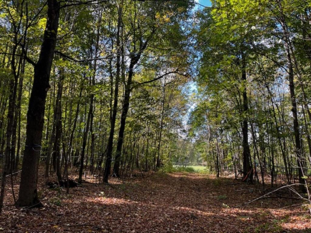 Terre agricole de 67 acres à vendre à Mirabel, Saint-Hermas, Laurentides | 3206538