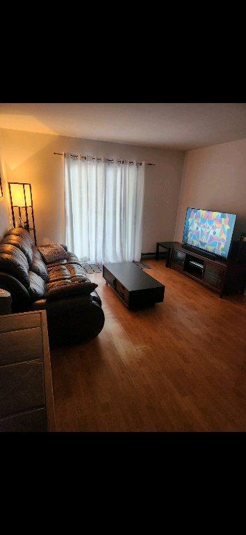 logement à louer 3 1/2 | 3206651