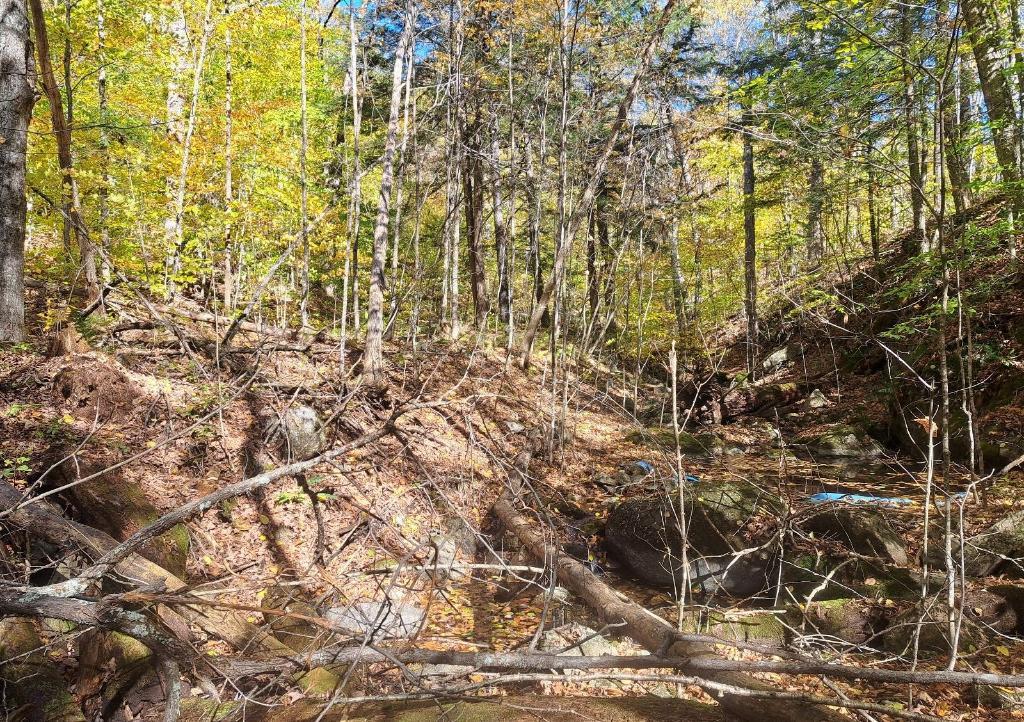 Terrain résidentiel 20+ acres à Val-des-monts ( st-pierre ) 40 minutes de Ottawa | 3206761