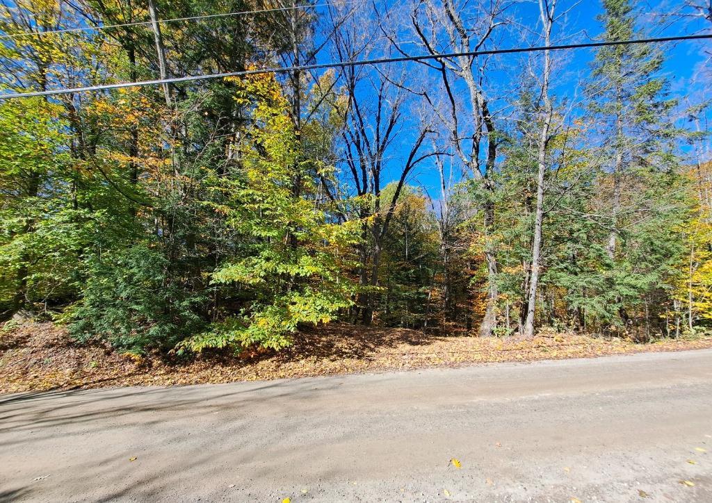 Terrain résidentiel 20+ acres à Val-des-monts ( st-pierre ) 40 minutes de Ottawa | 3206761