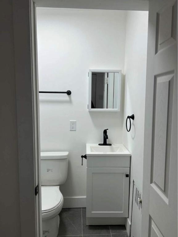 Studio - Montréal - $995 /mo | 3207174