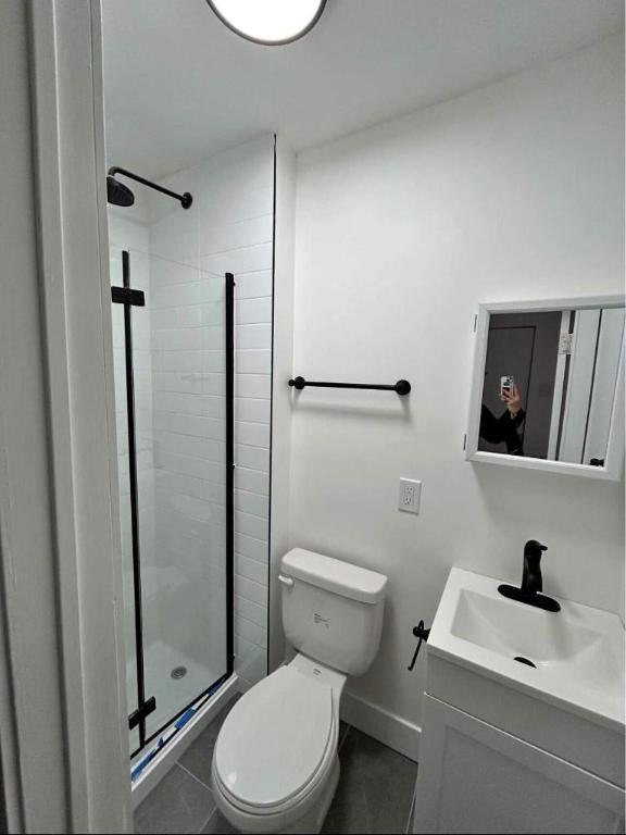 Studio - Montréal - $995 /mo | 3207174