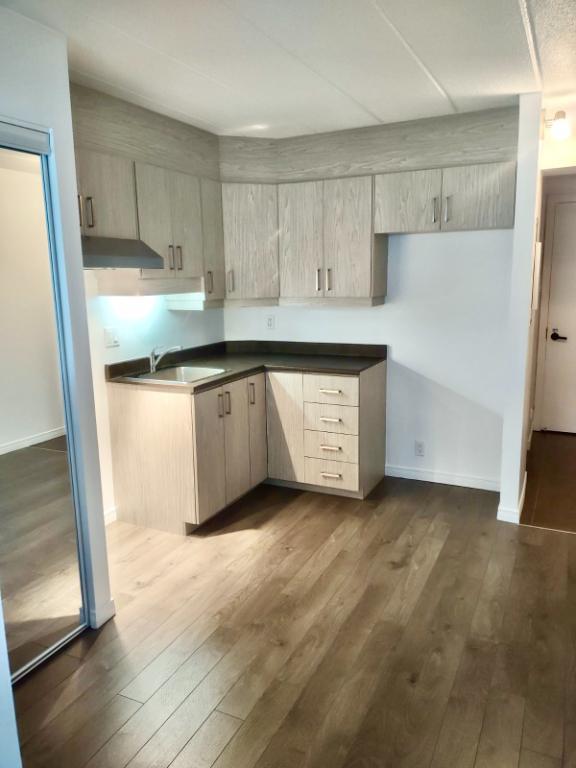 Coquet 2 1/2 demi ss, gym, internet, piscines - TOUT RÉNOVÉ | 3207178