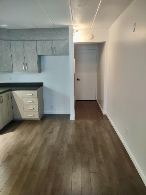 Coquet 2 1/2 demi ss, gym, internet, piscines - TOUT RÉNOVÉ | 3207178