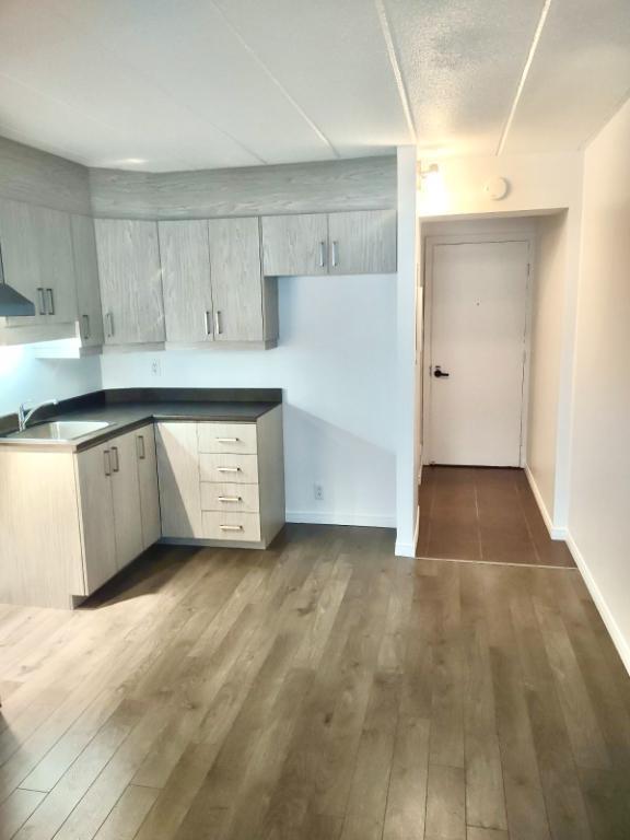 Coquet 2 1/2 demi ss, gym, internet, piscines - TOUT RÉNOVÉ | 3207178