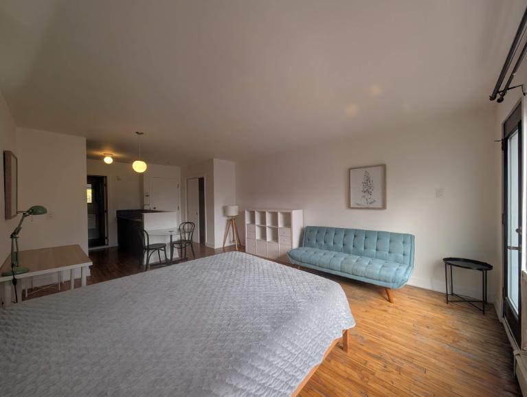 Studio - Montréal - $1,095 /mo | 3207181