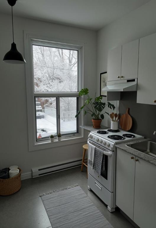 2 CH - 1 SDB - Montréal - $1,210 /mo | 3207447