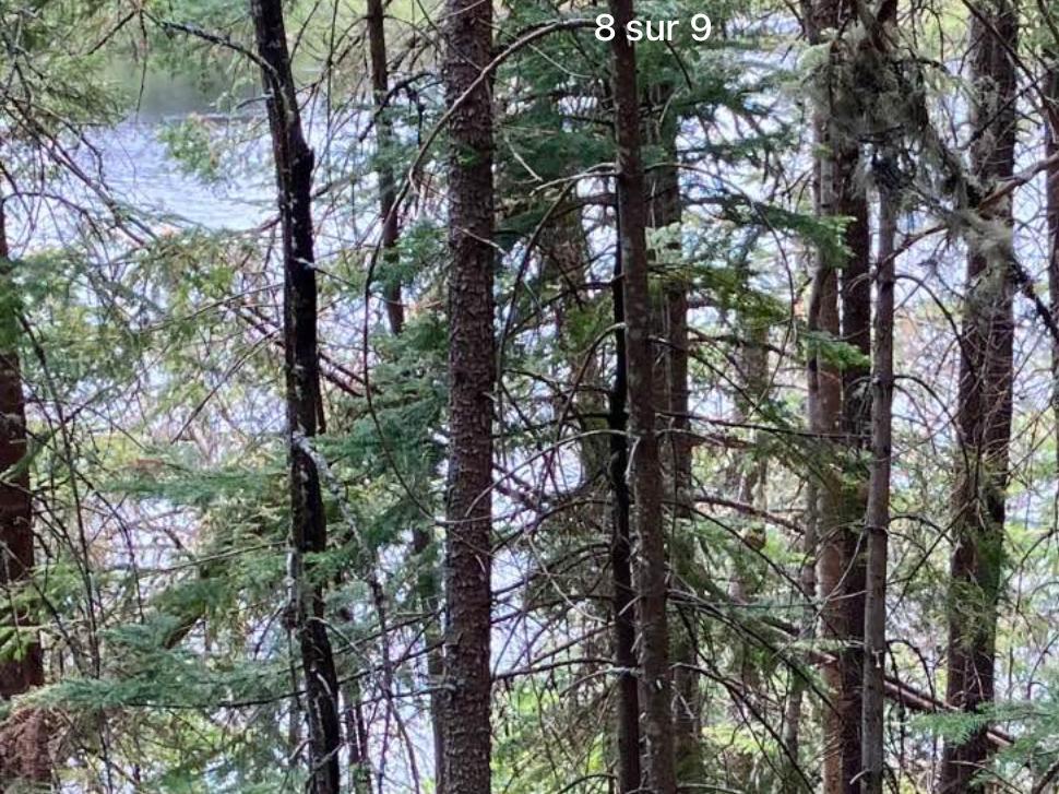 terrein boiser a vendre | 3207769