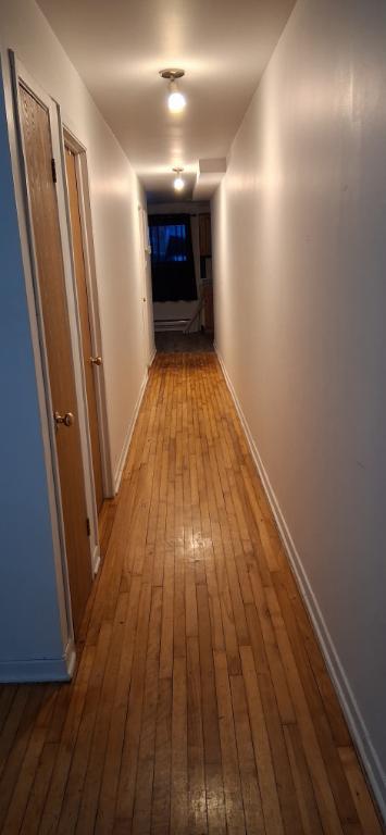 Bachelor à LaSalle | 3208197