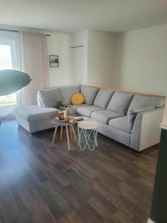 4 1/2 - Saint-Jean-Chrysostome - 955 $/mois | 3208210