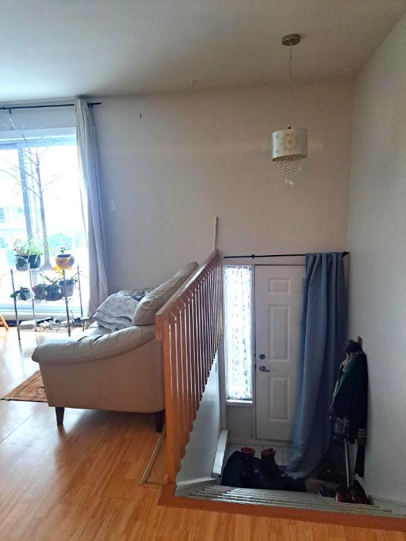 4 1/2 Lévis centre-ville, **Libre 1er Avril, UQAR, proximité autoroute | 3208229