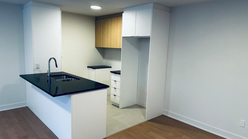 3 1/2 à louer, construction neuve 2025, secteur Grande Allée - Montée St-Hubert | 3208239