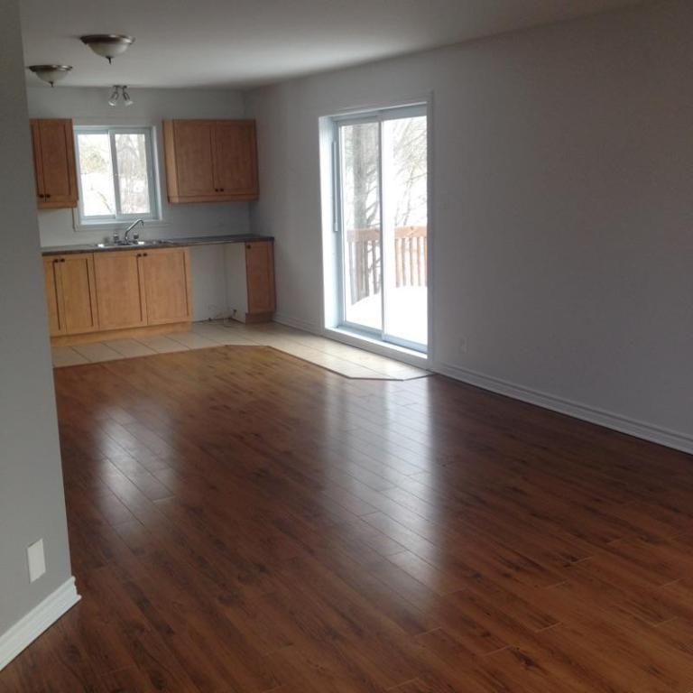 4 1/2 rénové à Farnham - 1350$/mois ! | 3208290