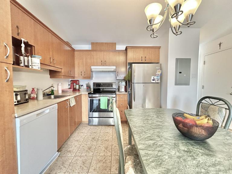 Appartement 4 ½ à louer Lévis juillet 2026 | 3208322