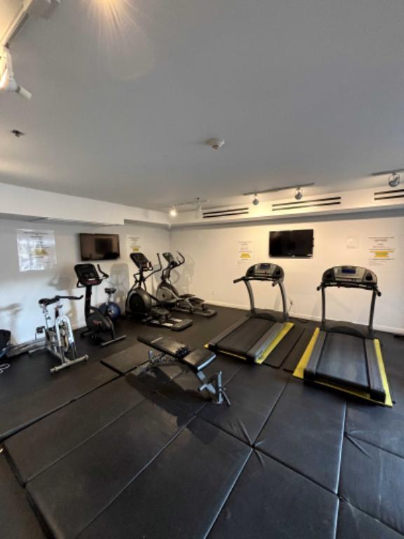 Magnifique 3 1/2 situé à Lachine. PARKING INCLUS. ÉLÉCTRO INCLUS | 3208501