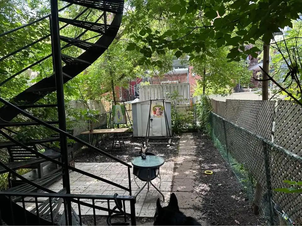 3 ½ à céder – Quartier Hochelaga-Maisonneuve | 3208539