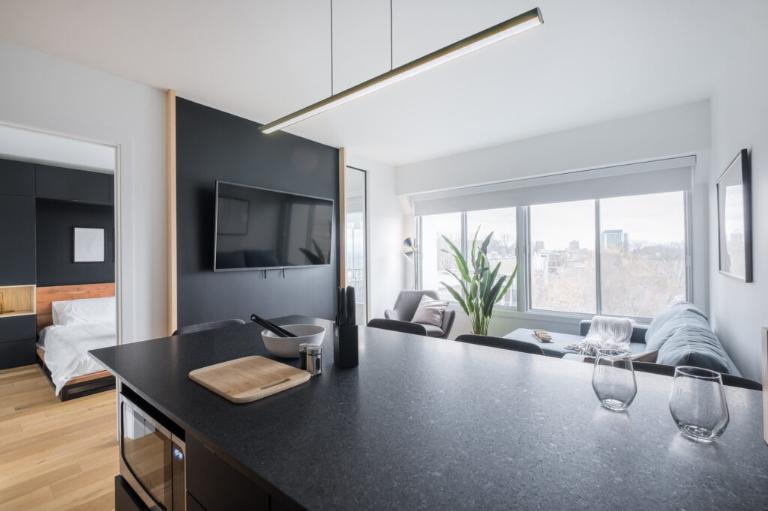 3 ½ entièrement meublé à louer Saint-Jean-Baptiste juillet 2026 | 3212368