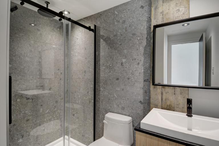 3 ½ entièrement meublé à louer Saint-Jean-Baptiste juillet 2026 | 3212368