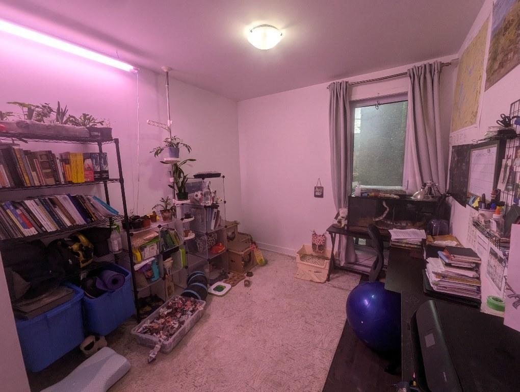 Condo À Louer - Plateau Mont-Royal | 3208589