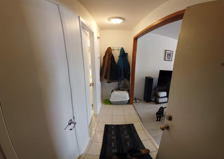 1 CH - 1 SDB - Québec - $967 /mo | 3209445