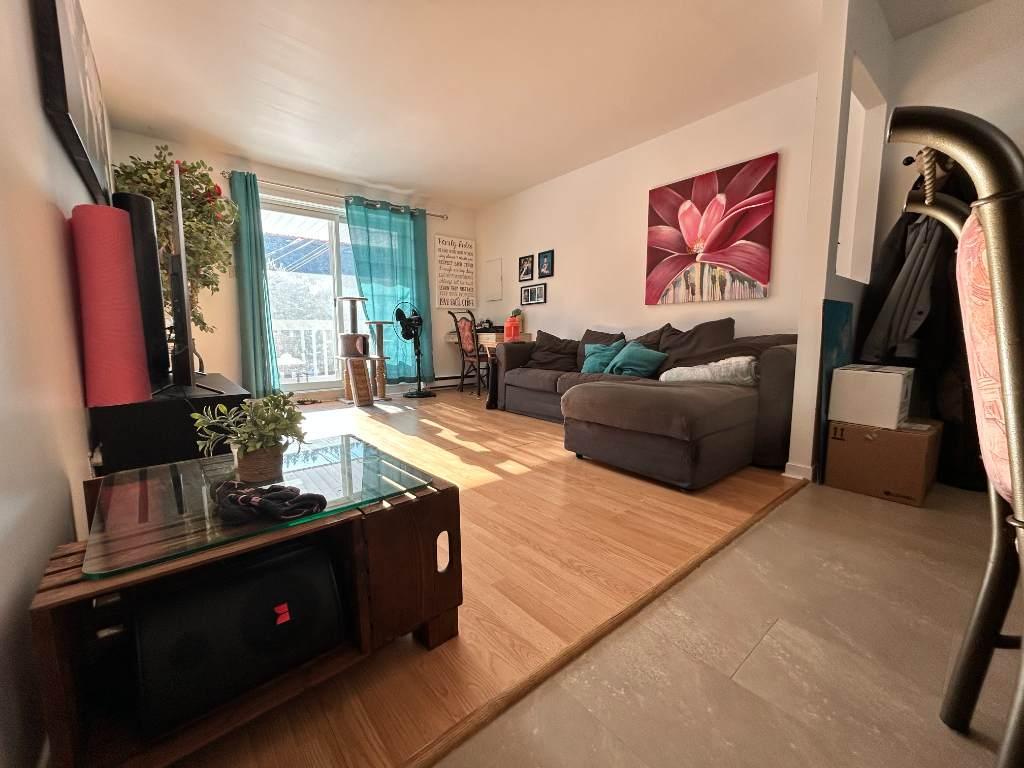 Lévis (St-Nicolas), grand 4 1/2 à louer - 1er mai 2026 | 3209461