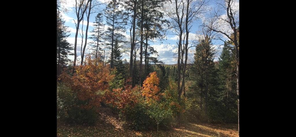 3 1/2 tout inclus à 5 min du CHUS | 3209609